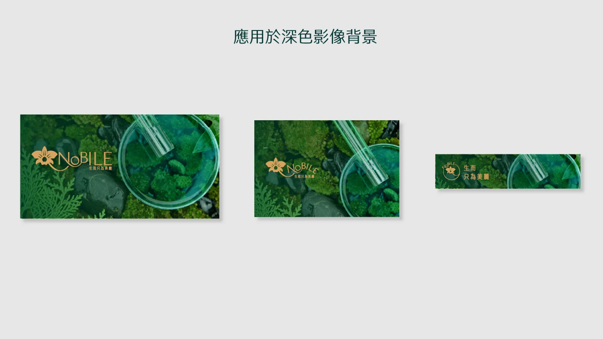 艾蓓莉色彩運用