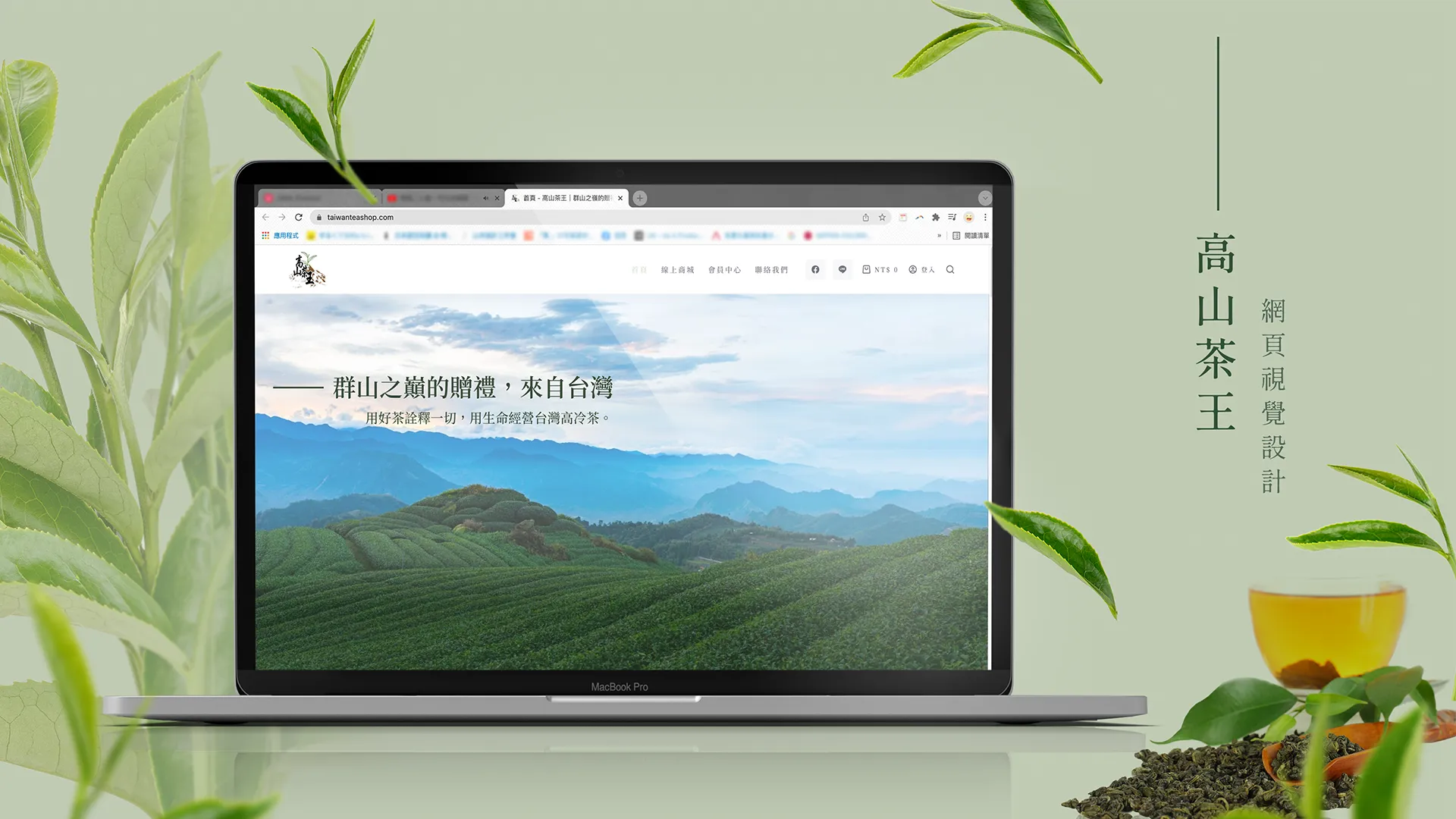 高山茶王 首圖
